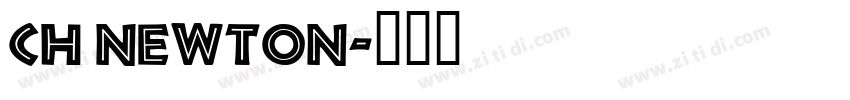 Ch Newton字体转换